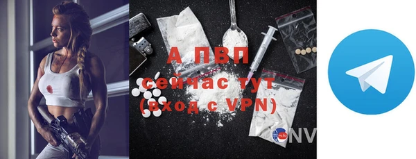 ECSTASY Новозыбков