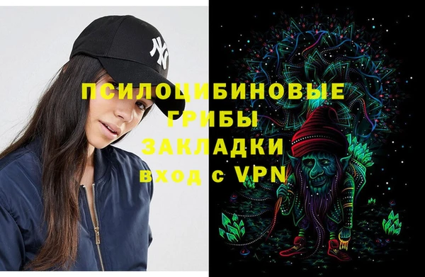 ECSTASY Новозыбков
