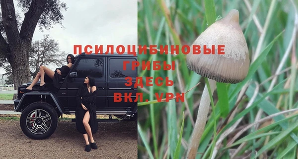 ECSTASY Новозыбков