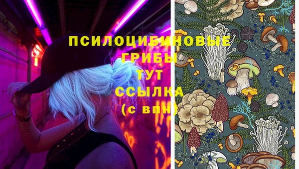jwh Новокубанск